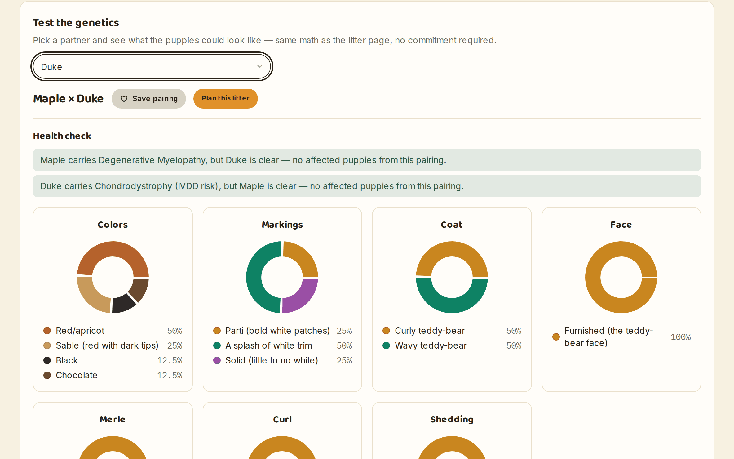 The pair predictor in BreederBee showing likely coat colors for Maple and Duke